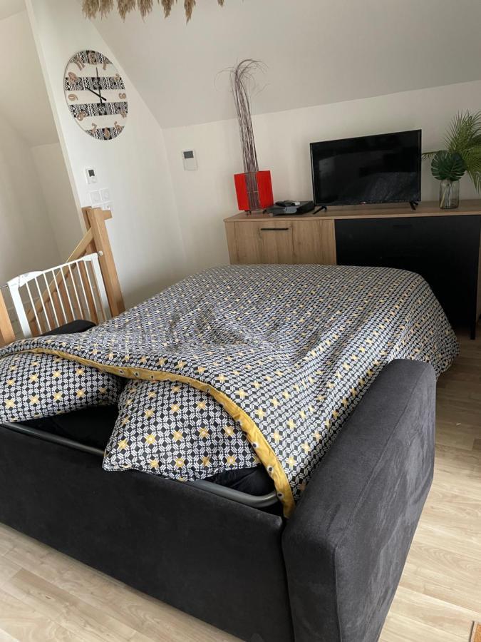 Bel Appartement « The Lion King » Proche Disney Montevrain Luaran gambar